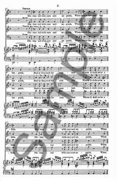 Distracted With Care von Joseph Haydn 