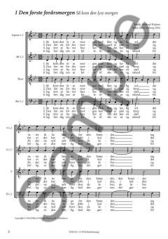 13 NYE Hojskolesange 