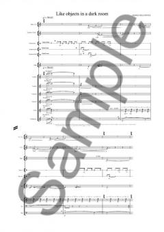 Like Objects In A Dark Room - 2007 Version von Henrik Hellstenius 