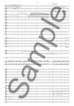 Nordisk Messe von Sunleif Rasmussen 