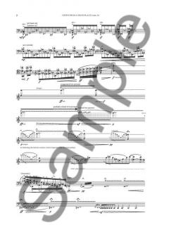 Views From A High Place von Niels Rosing-Schow 