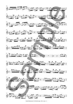 Territorial Songs von Sunleif Rasmussen 