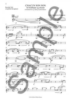 Chacun Son Son von Pelle Gudmundsen-Holmgreen 