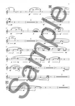 Chacun Son Son von Pelle Gudmundsen-Holmgreen 