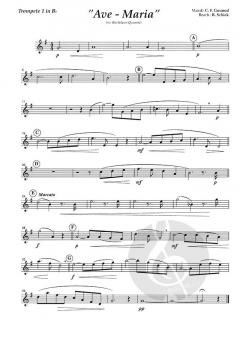 Ave Maria (Johann Sebastian Bach) 