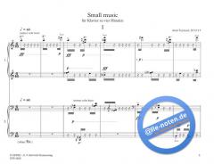 Small Music von Amir Teymuri 