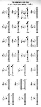 Jede Menge Flötengriffe von Barbara Ertl 