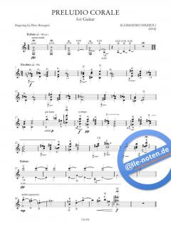 Homenaje a Segovia von Gian Paolo Luppi 