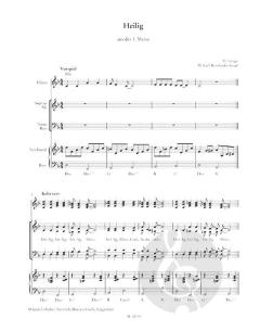 Feuer und Flamme - Gesänge zur Firmung 