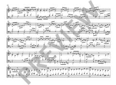 Tabulatura Nova Band 34 von Samuel Scheidt 