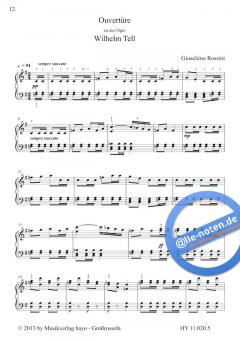 Schöne Stellen - Band 5 