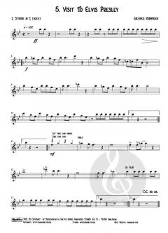 Young Band Around The World 