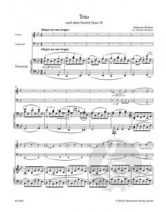 Trio für Violine, Violoncello und Klavier (Johannes Brahms) 