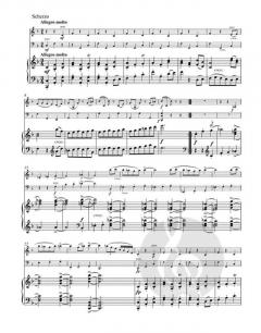 Trio für Violine, Violoncello und Klavier (Johannes Brahms) 