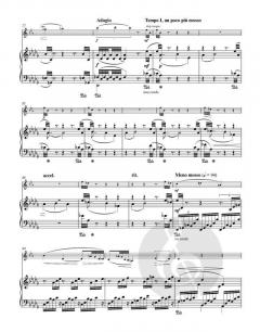 Sonate für Klarinette und Klavier von Leo Eugen Janáček 