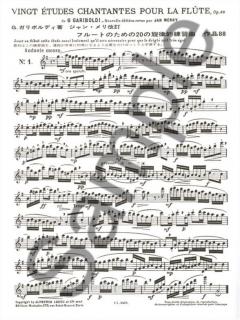 20 Etudes chantantes Op. 88 (Flute solo) von Giuseppe Gariboldi 