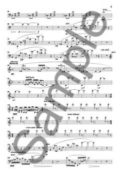 A Short Walk In The Gardens Of Solitude von Kevin Volans 