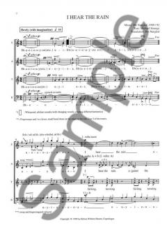 I Hear The Rain (Per Norgard) 