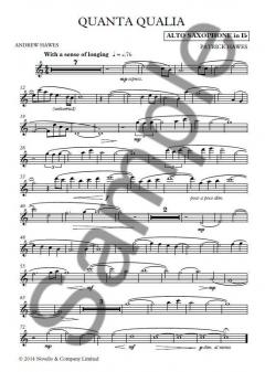 Quanta Qualia von Patrick Hawes 