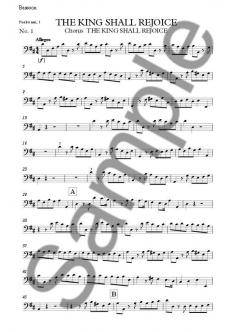 The King Shall Rejoice von Georg Friedrich Händel 