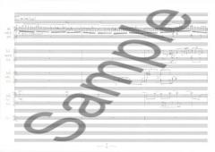 Beethoven Singt For Chamber Orchestra von Asbjorn Schaathun 