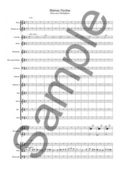 Hjärtats Nycklar von Peter Bruun 