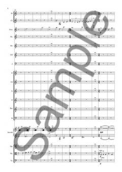 Hjärtats Nycklar von Peter Bruun 