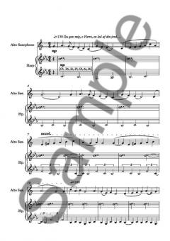 Her Rydded De Marken For Stene Engang (Peter Bruun) 