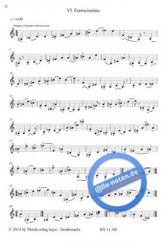 Seven Miniatures for Violin Solo von Frank Corcoran im Alle Noten Shop kaufen