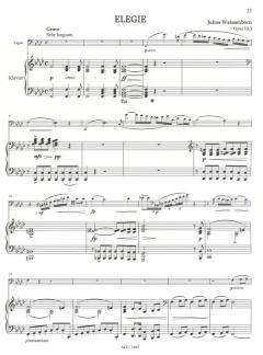 Konzertstücke für Fortgeschrittene (Julius Weissenborn) 