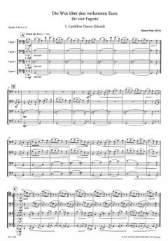 Die Wut über den verlorenen Euro (Martin Peter) 