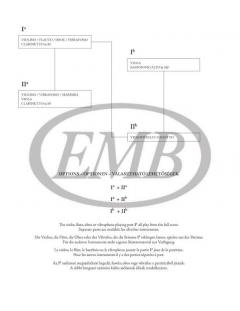 Duos für Fortgeschrittene 