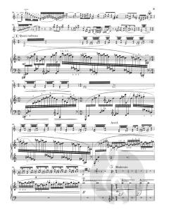 Tzigane von Maurice Ravel für Violine und Klavier im Alle Noten Shop kaufen - HN587