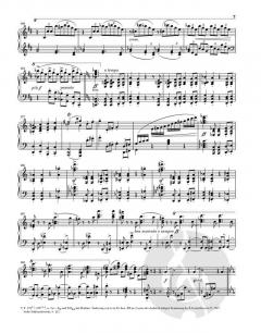 Klaviersonaten von Johannes Brahms im Alle Noten Shop kaufen