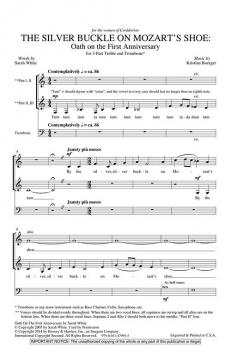 The Silver Buckle On Mozart's Shoe 