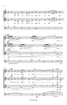 The Silver Buckle On Mozart's Shoe 