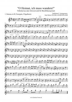 O Heimat, ich muss wandern 