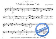 Weihnachtliche Weisen - Folge 1 