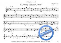 Weihnachtliche Weisen - Folge 1 