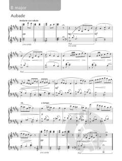 Joining The Dots, Book 8 von Alan Bullard 