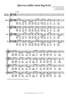 Spurven Sidder Stum Bag Kvist 