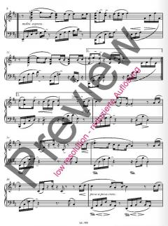 Ses op. 40b von Fazil Say 