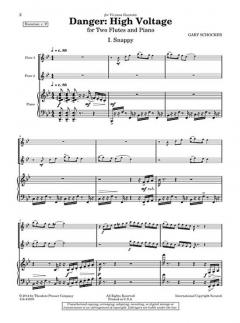 Danger: High Voltage von Gary Schocker 