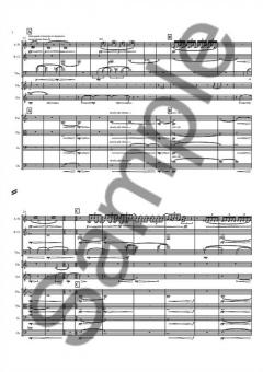 Drones, Variations, Ornaments (Nico Muhly) 