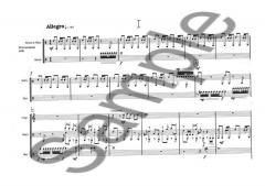 Concerto for Percussion and Orchestra von Anders Koppel im Alle Noten Shop kaufen (Einzelstimme)