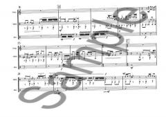 Concerto for Percussion and Orchestra von Anders Koppel im Alle Noten Shop kaufen (Einzelstimme)