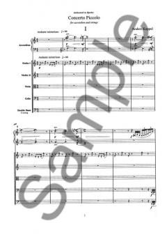 Concerto Piccolo (Anders Koppel) 