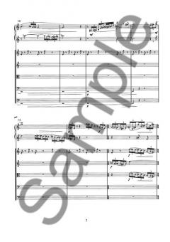 Concerto Piccolo (Anders Koppel) 