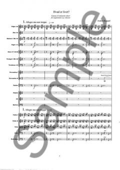 Hvad Er Livet? von Anders Koppel 