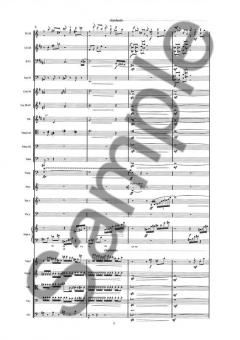 Triple Concerto von Anders Koppel 